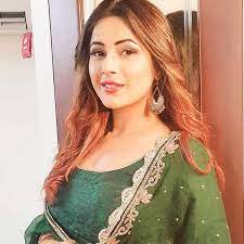 Akriti Singh Indian television actress Wiki ,Bio, Profile, Unknown Facts and Family Details revealed