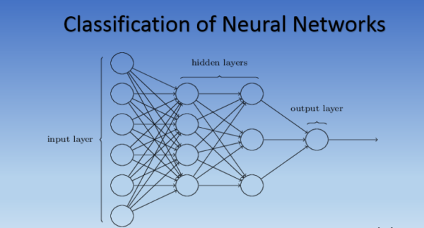 How Do You Use a Neural Network for Prediction or Classification?
