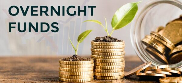 <strong>​Risks and considerations for overnight fund investors</strong>